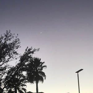 Meet your Posher, Jocelyn